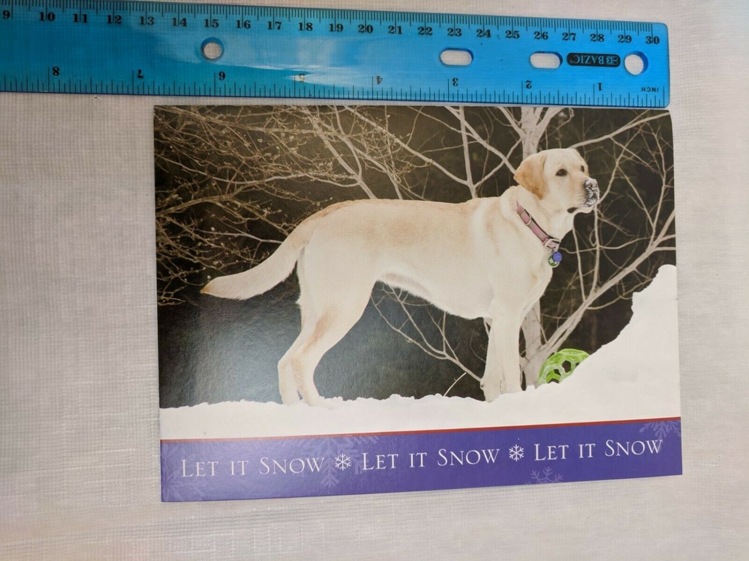 Holiday Card Let It Snow Tan Dog Josie Photo by Barb Ward Blank