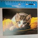 Blank Note Card Knit One, Purrrl Two Kitten & Yarn Photo by The Stock Market