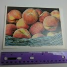 Lightscapes Collection Fine Notecards The South Basketful of Peaches *TORN EDGE*