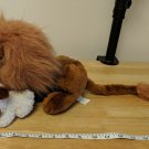 Winfield Int Family Choice Products Lion & Lamb Plush Set Biblical