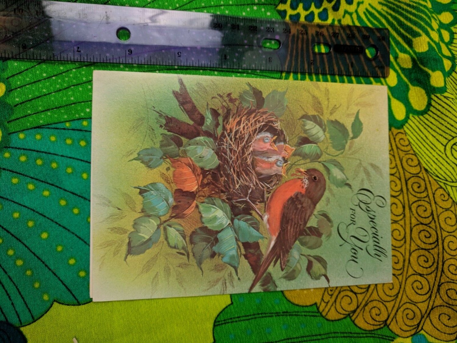Coronation Collection Unused Card Especially for You Robin Bird & Nest