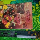 PVA Paralyzed Veterans Friendship, Warm Wishes Card Unused VTG Berry Basket