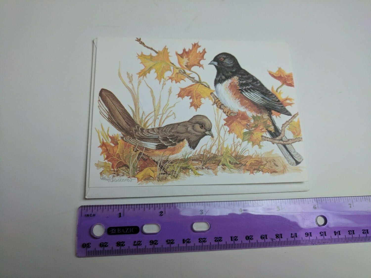 Paralyzed Veterans PVA John Cornacchio Blank Note Card Towhee Bird