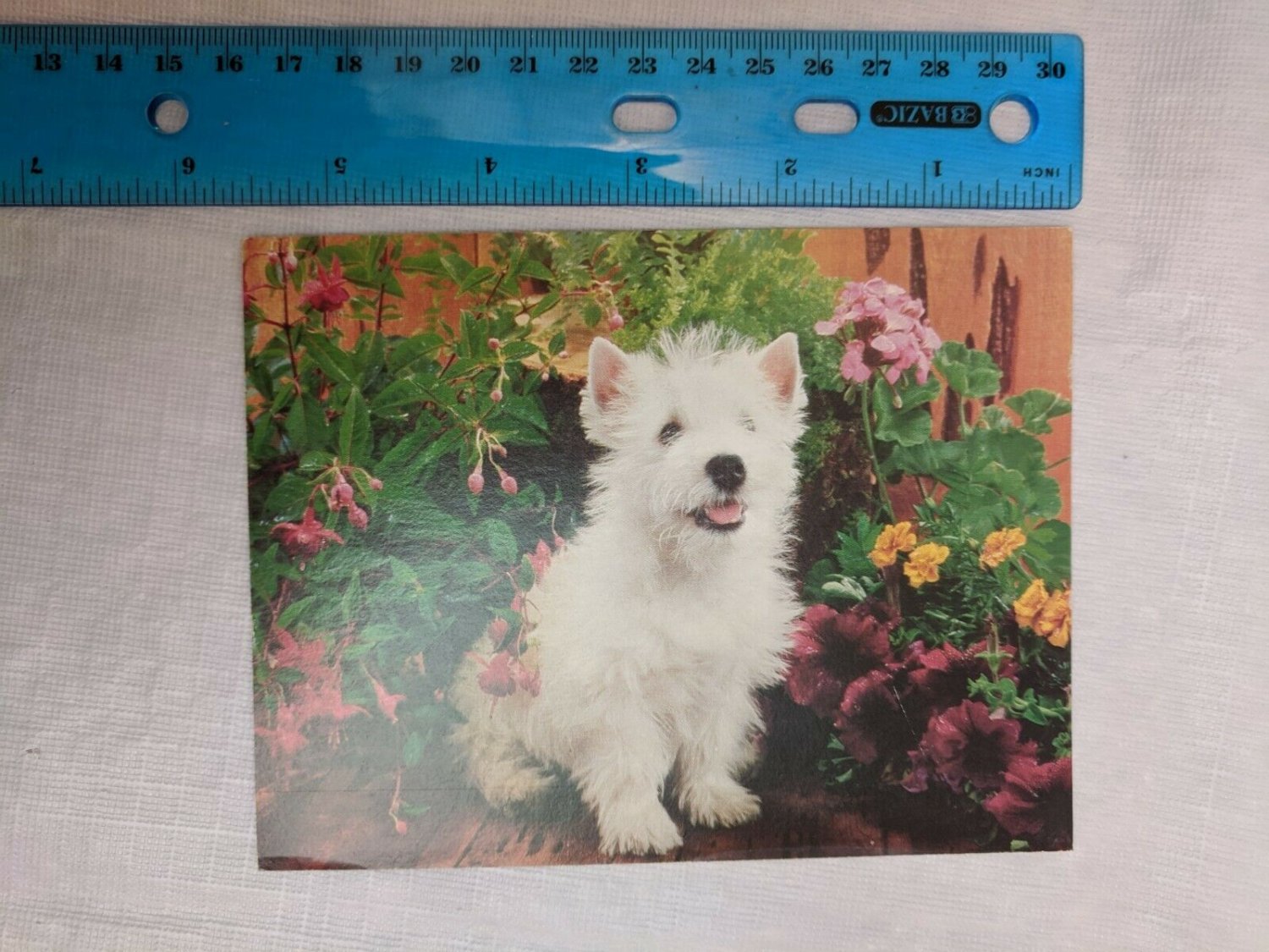 Blank Note Card White Terrier Dog w/ Plants, Petunias, Geranium, Marigold