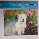 Blank Note Card White Terrier Dog w/ Plants, Petunias, Geranium, Marigold