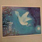 PVA Paralyzed Veterans Christmas Holiday Card Unused VTG Peace Dove Night Sky
