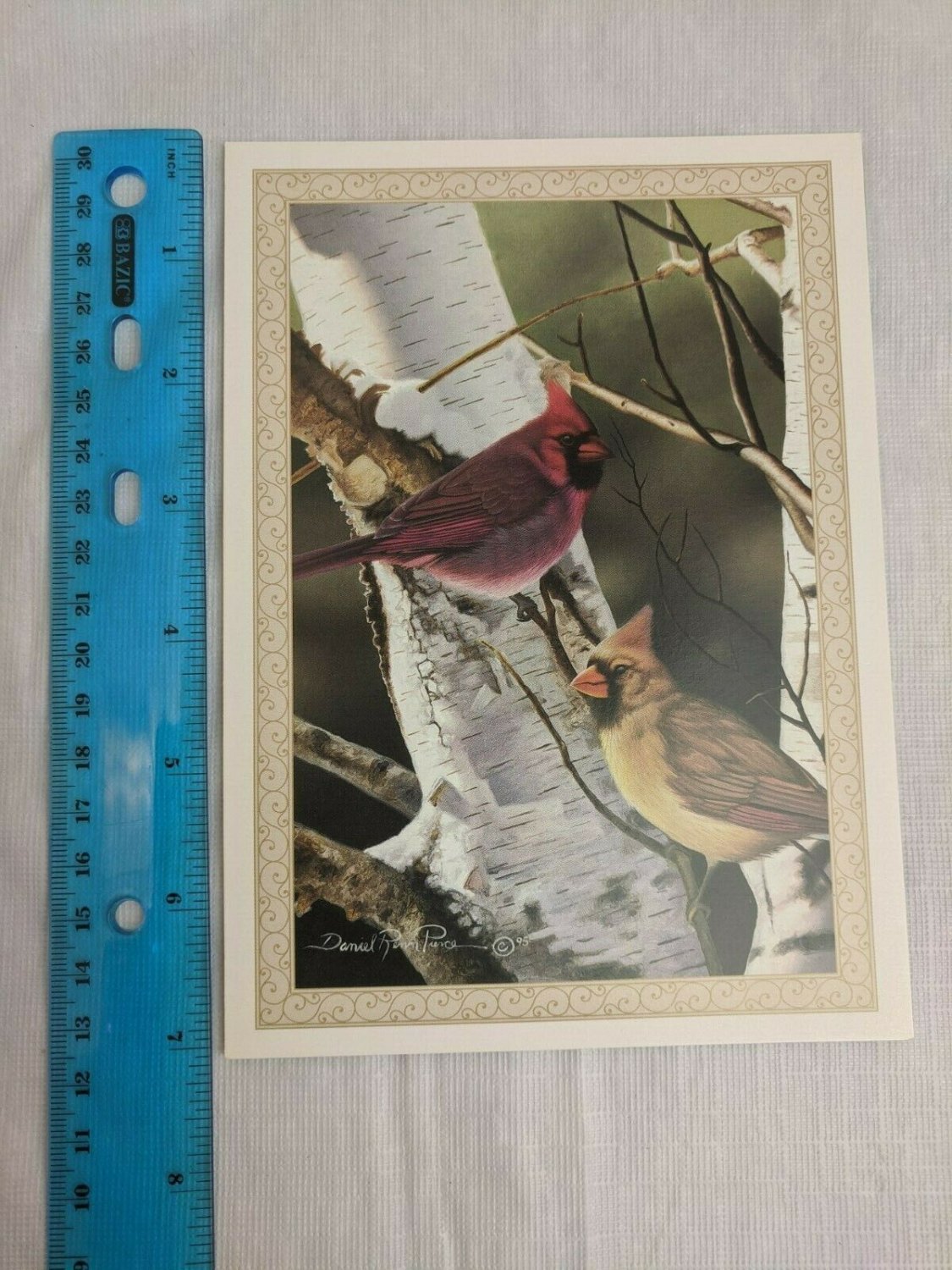 Christmas Greeting Card Blank Inside Daniel Renn Pierce Cardinals Birch Tree