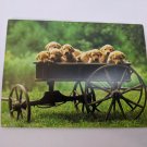 Gold Lab Puppy Dogs in Wagon Family Outing VTG Blank Note Card