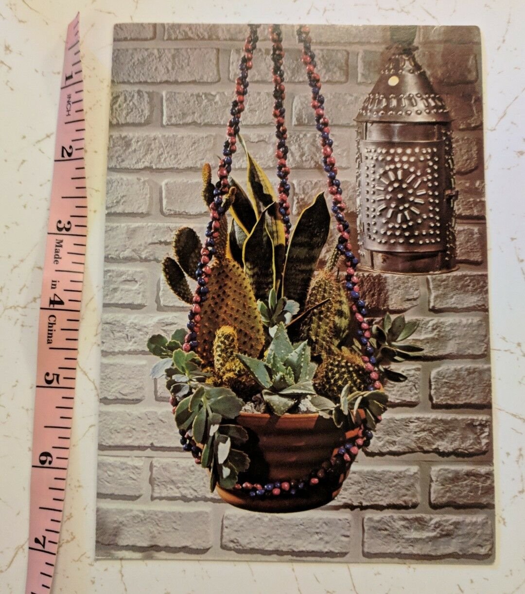 Sunshine Card Succulent Basket, Lantern Unused Vintage 1970's Get Well Religious