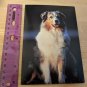 Collie Dog Blank Note Card Unused Vintage