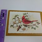 GJC Exclusive Collection Cardinal Bird Congratulations Unused Greeting Card