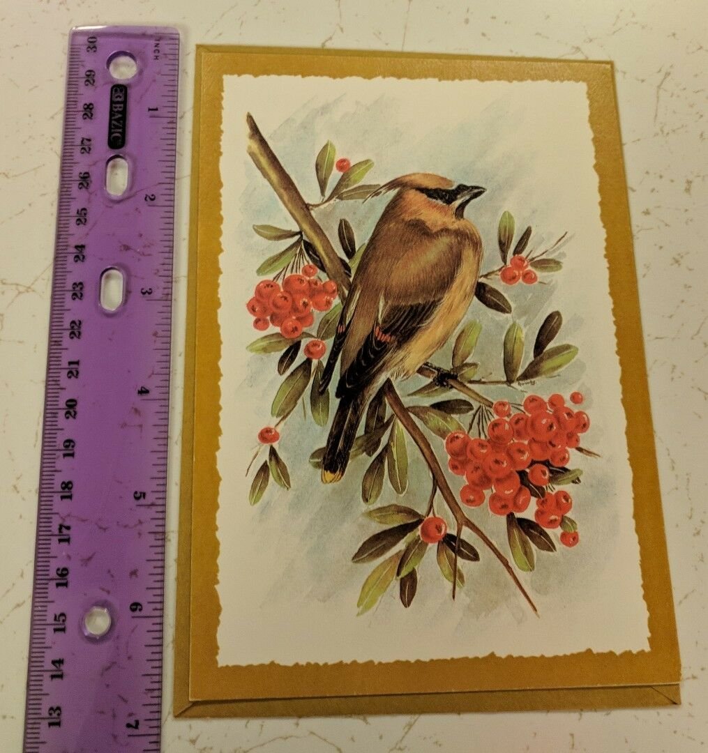 G.J.C. Collection Cedar Waxwing Bird Thinking of Greeting Card Unused Vintage