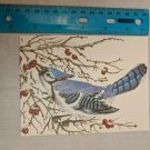 Note Card Blank Inside Blue Jay & Berries Art by John Cornacchio