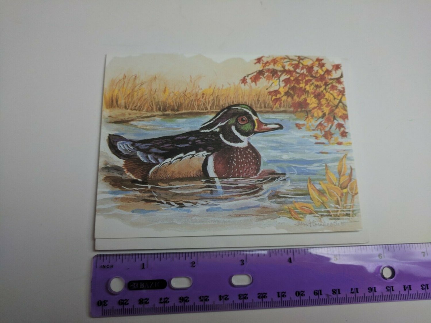 Paralyzed Veterans PVA John Cornacchio Blank Note Card Wood Duck Bird