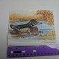 Paralyzed Veterans PVA John Cornacchio Blank Note Card Wood Duck Bird