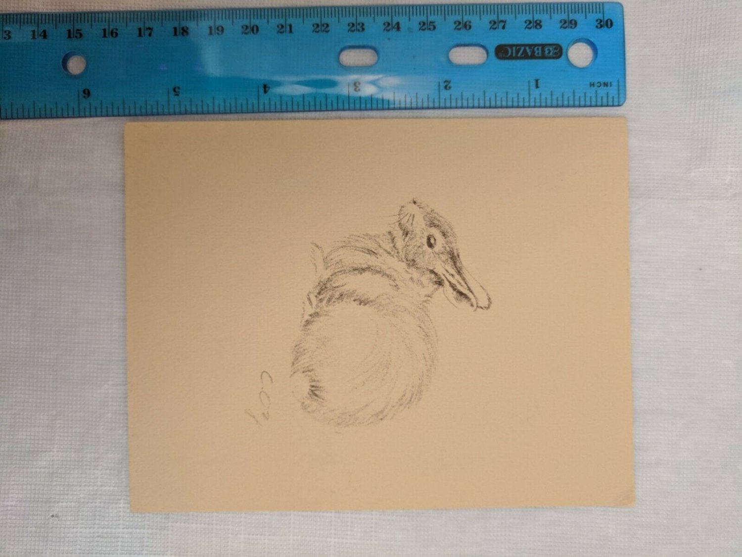 Blank Note Card C. Oz Rabbit Sketch