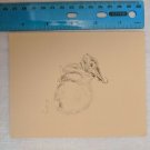 Blank Note Card C. Oz Rabbit Sketch
