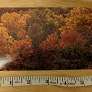 Virginia VA Shenandoah National Park Postcard Vintage Fall Foliage Photo