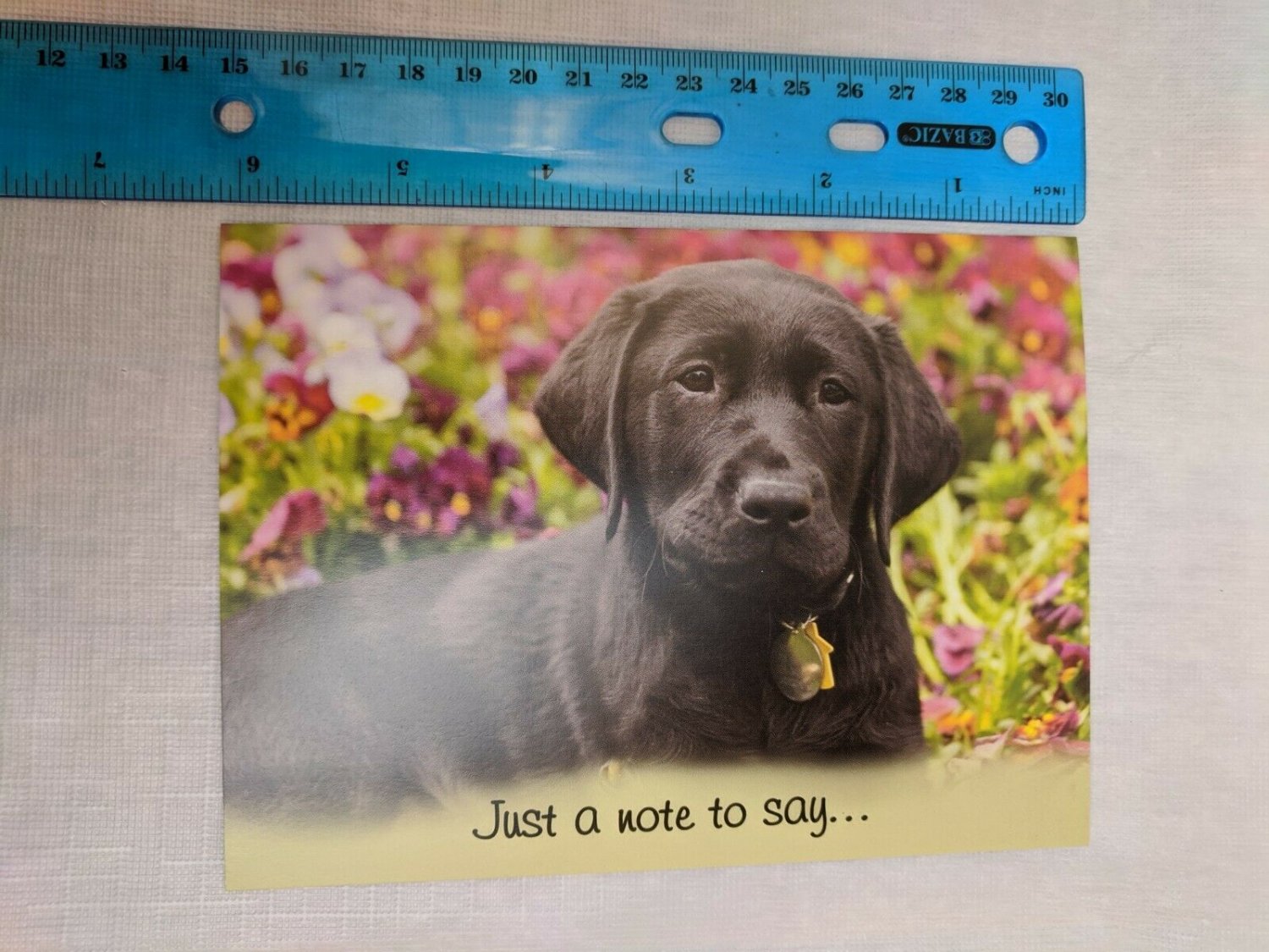 Just A Note Thank You Card Black Lab & Pansies