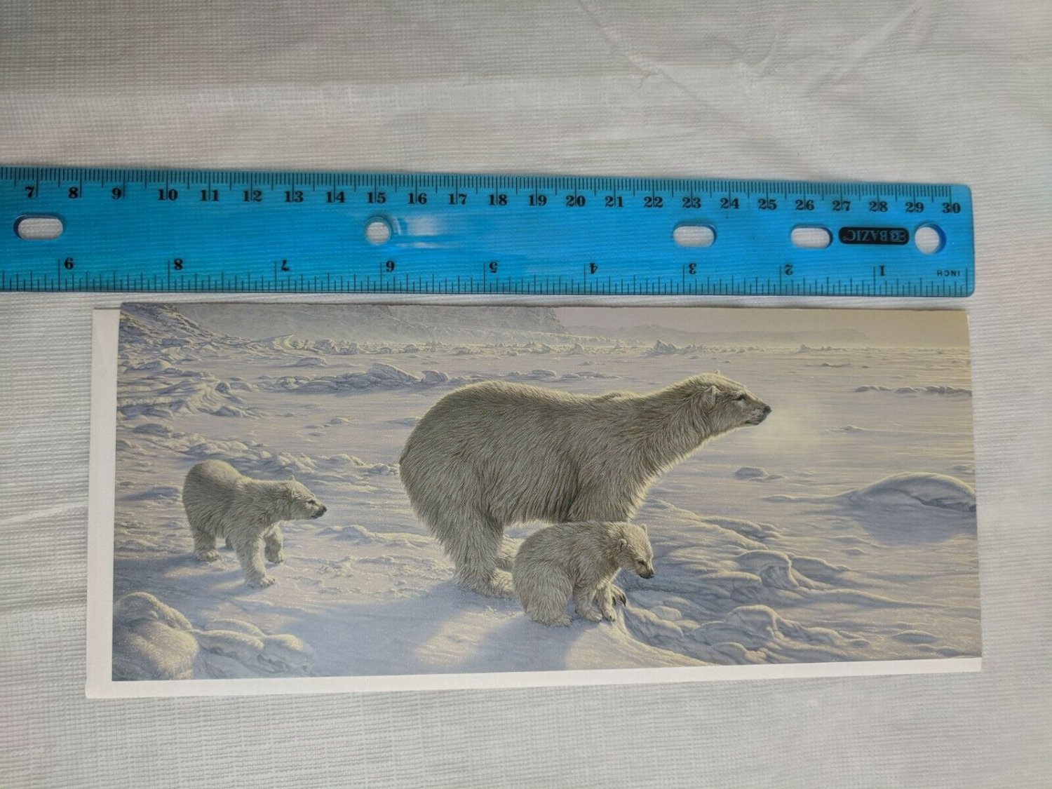 Blank Note Card - Polar Bears by Lee Kromschroeder/Wild Wings