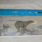 Blank Note Card - Polar Bears by Lee Kromschroeder/Wild Wings