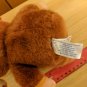 Cabbage Patch Kids Snugglies Puppy Suit Costume Doll 6" Sitting Green Eyes Bald