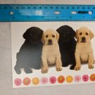 Note Card Blank Inside Gold & Black Lab Puppies w/ Flower Border