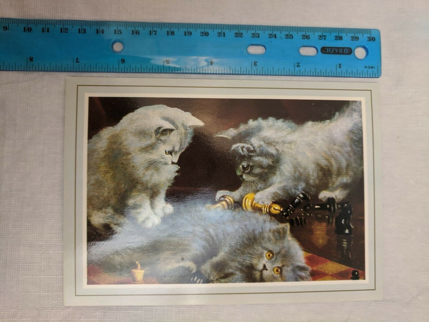 Fine Art Graphics Note Card Fluffy Kittens w/ Chess Pieces Blank Inside