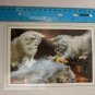 Fine Art Graphics Note Card Fluffy Kittens w/ Chess Pieces Blank Inside