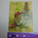 Heartland Classic Springtime Greeting Card Congratulations Apples in Bucket