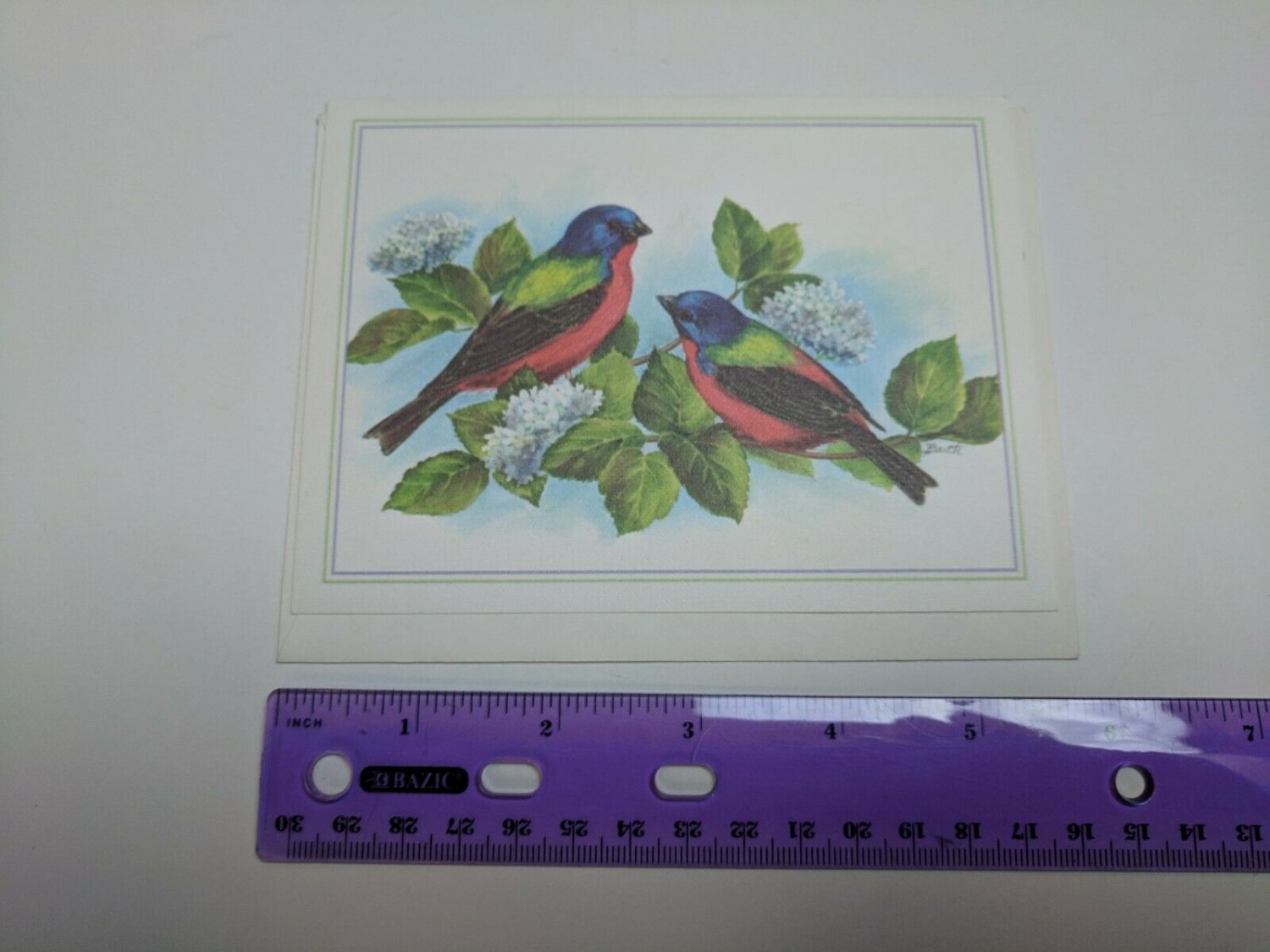 Painted Bunting Birds by Barbara Barth VTG Note Card Unused