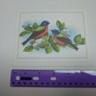 Painted Bunting Birds by Barbara Barth VTG Note Card Unused