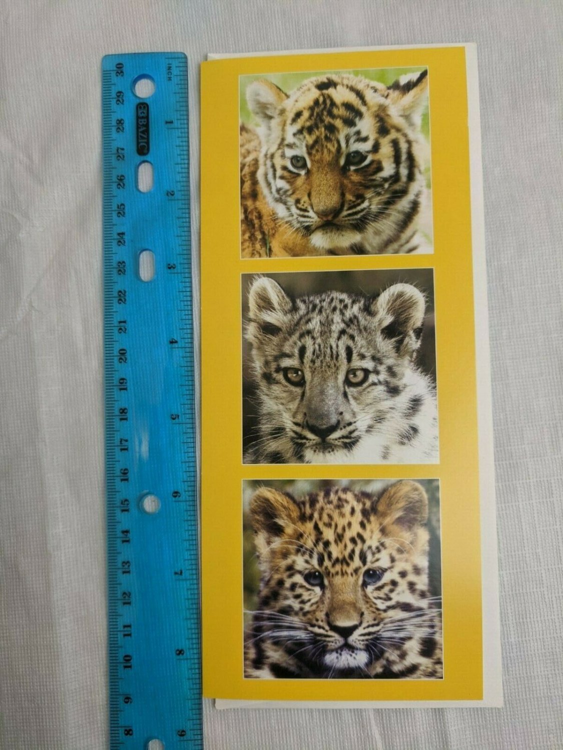WWF Note Card Siberian Tiger Cub, Snow Leopard Cub, Amur Leopard Cub Pics