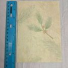 Hallmark Christmas Card Pastel Holly & Pine Branches by Lucy Harmon