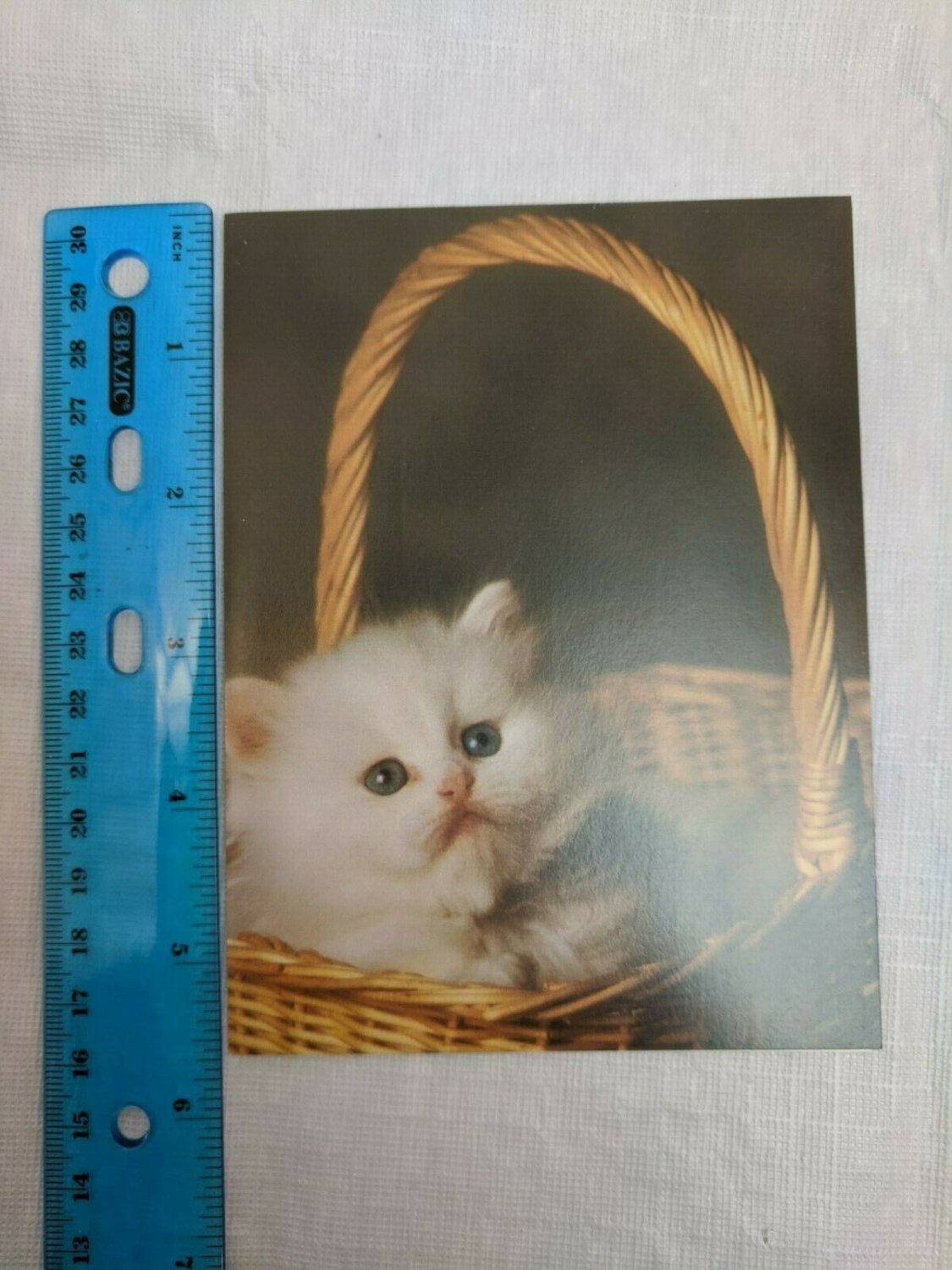 Blank Note Card Fluffy White Kitten in Basket Cozy Kitty Photo by Coppieters