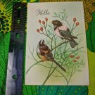 Coronation Collection Unused Card Hello Birds on Branch, Bible Verse