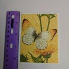 Current Inc Blank Mini Gift Note Card Yellow Butterfly & Flowers
