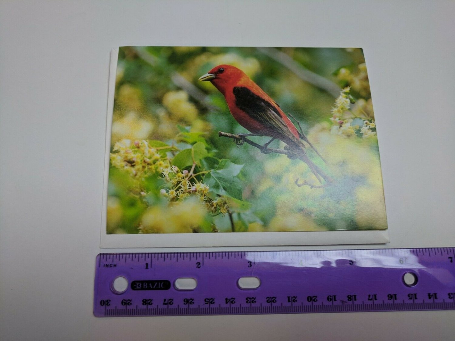 VTG Note Card Unused Scarlet Tanager Bird Photo by Dave Maslowski