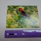 VTG Note Card Unused Scarlet Tanager Bird Photo by Dave Maslowski