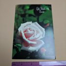 Floral Beauty VTG Greeting Card Get Well Soon Pink Rose