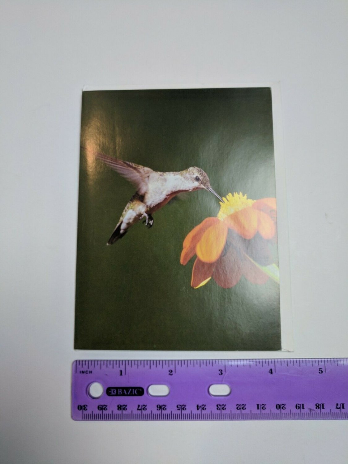 VTG Note Card Unused Ruby-Throated Hummingbird Bird Photo by Dave Maslowski
