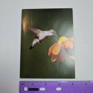 VTG Note Card Unused Ruby-Throated Hummingbird Bird Photo by Dave Maslowski