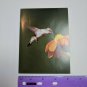 VTG Note Card Unused Ruby-Throated Hummingbird Bird Photo by Dave Maslowski