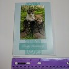 Gem Stone Can Stock Photo Greeting Card Happy Anniversary Kittens in Boots