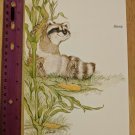 Vintage Raccoon w/ Corn Stalk Blank Tri-fold Note Card Unused