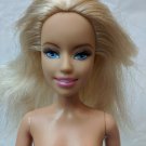 Barbie Doll 2010's 2006 Indonesia Torso Shimmer Eyeshadow Nude for Play/OOAK