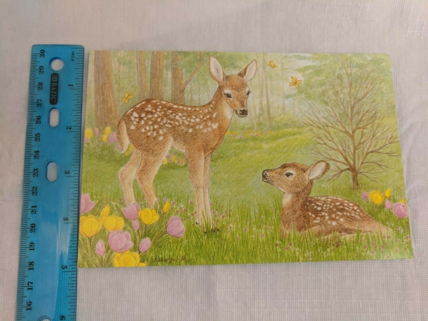 Olympia Get Well Soon Card Deear Fawns in Field