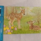 Olympia Get Well Soon Card Deear Fawns in Field