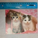 Blank Note Card Kittens in Pink Bag It's In the Bag A. Matoba Photo