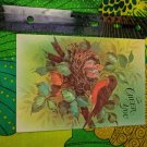 Coronation Collection Unused Card To Cheer You Robin Bird & Nest